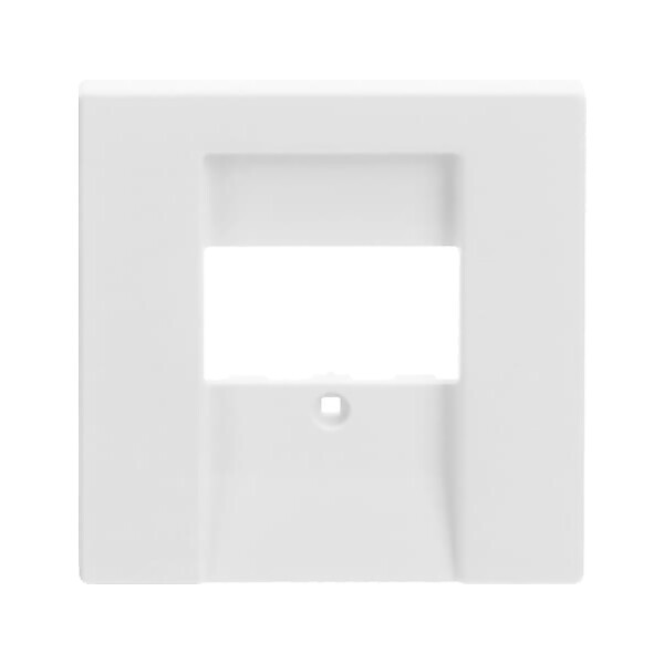 Busch-Jaeger Zentralscheibe stws mt f.UAE/TAE/LS 1766-884
